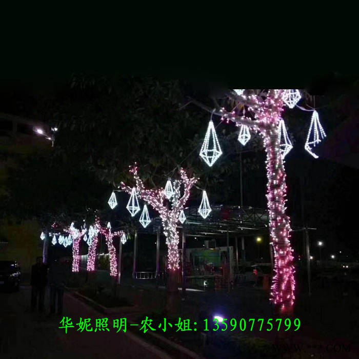 华妮HN-ZXD2019060308 LED花朵造型灯 五一国庆节街道树木亮化 LED跨街灯 黑龙江中国梦景观灯 街棚灯图8