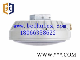供应北汇Ccd96系列防爆环形荧光灯图3