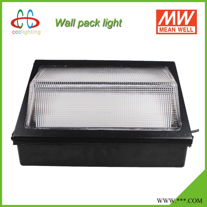 LED壁灯 100W IP65 明纬电源 质保5年 美国UL、DLC认证 庭院灯 广场灯 景观灯 走廊灯 酒店灯 商场灯图1