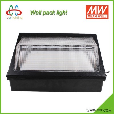 LED壁灯 100W IP65 明纬电源 质保5年 美国UL、DLC认证 庭院灯 广场灯 景观灯 走廊灯 酒店灯 商场灯