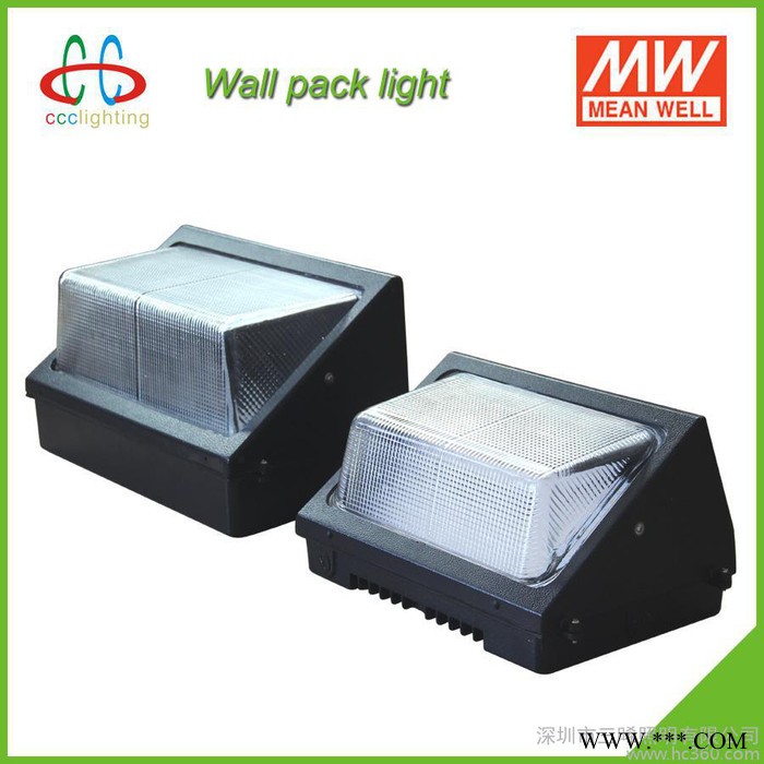 LED壁灯 100W IP65 明纬电源 质保5年 美国UL、DLC认证 庭院灯 广场灯 景观灯 走廊灯 酒店灯 商场灯图2