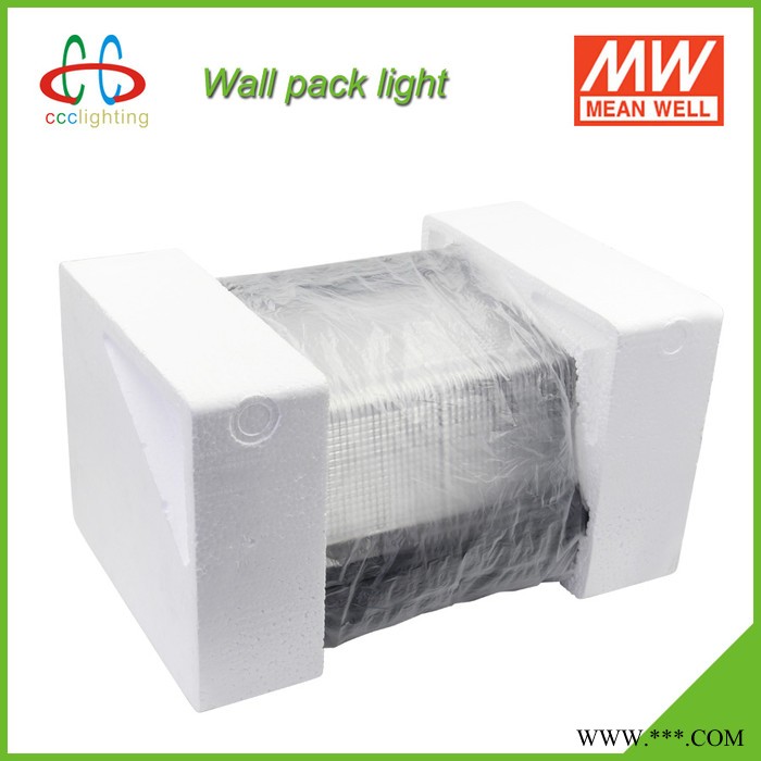LED壁灯 100W IP65 明纬电源 质保5年 美国UL、DLC认证 庭院灯 广场灯 景观灯 走廊灯 酒店灯 商场灯图3