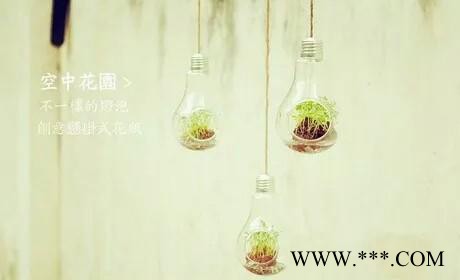 悬挂玻璃花瓶微景观灯泡花瓶多肉植物水培生态瓶复古装饰花瓶diy