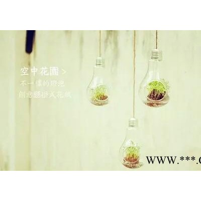 悬挂玻璃花瓶微景观灯泡花瓶多肉植物水培生态瓶复古装饰花瓶diy