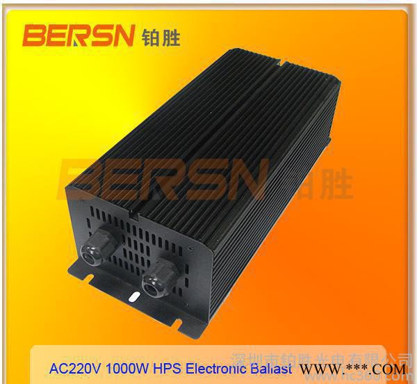 全国销售专业生产节能灯镇流器 高压钠灯电子镇流器250W 安图3