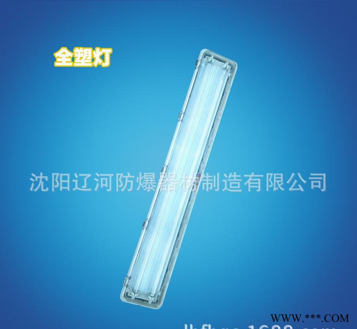 全塑荧光灯双管 防爆灯 2*40W直销 防爆防腐 资质齐全图2