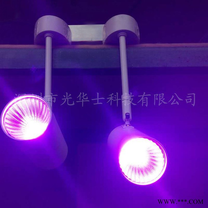 光华士LED紫光射灯 荧光画隐形图壁画墙画KTV酒吧溶洞景观UV紫光荧光灯图3