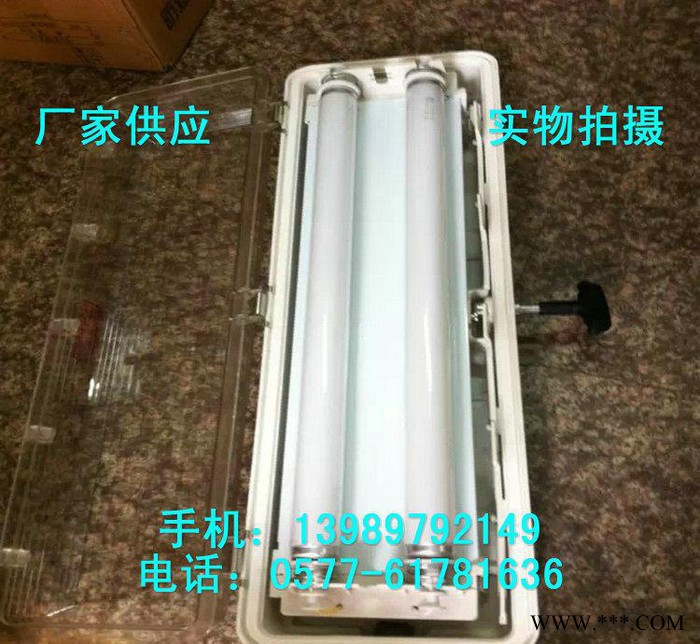 防爆防腐全塑荧光灯 BYS-2*18x吸顶式双管荧光灯图2