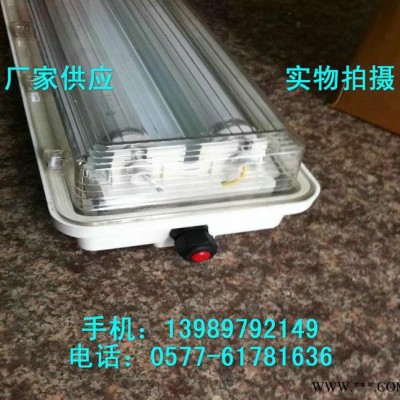 防爆防腐全塑荧光灯 BYS-2*18x吸顶式双管荧光灯
