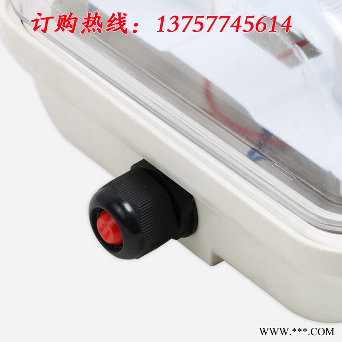 BHY全塑防爆荧光灯LED防爆防腐防潮双管18W20W36W荧光灯EX防爆灯图6