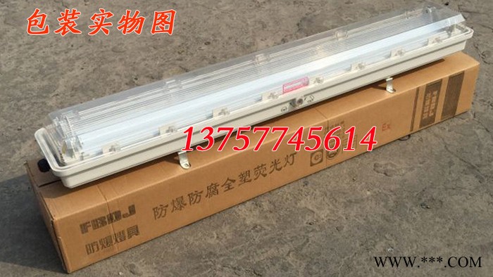 BHY全塑防爆荧光灯LED防爆防腐防潮双管18W20W36W荧光灯EX防爆灯图4