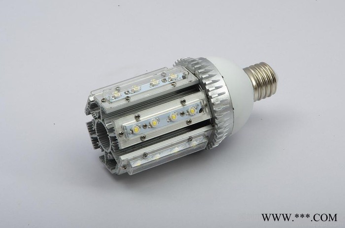 LED玉米灯（大功率）顶部发光更亮 40W景观灯、中华灯、庭院灯图2