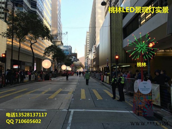 桃林LED烟花灯**灯焰火灯LED树灯椰树灯树发光树灯光节装饰景观灯花灯彩灯庭院灯草坪灯图3
