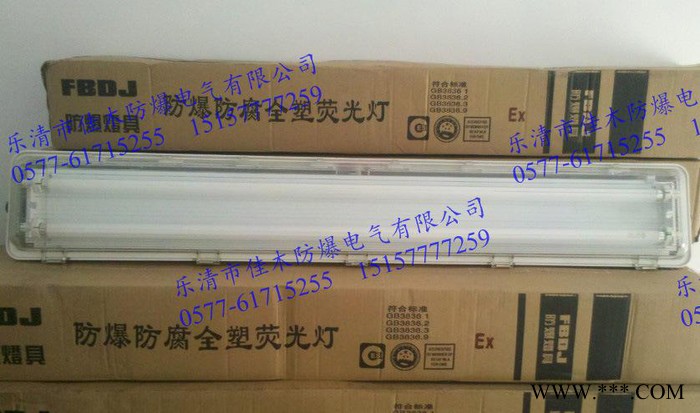 BAY51-Q36*2x吸顶式防爆防腐全塑荧光灯