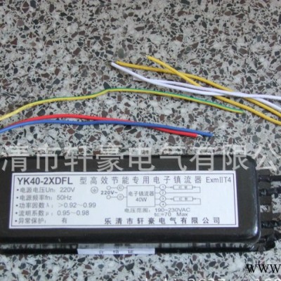 供应单脚荧光灯镇流器  防爆灯镇流器 YK40 2XDFL
