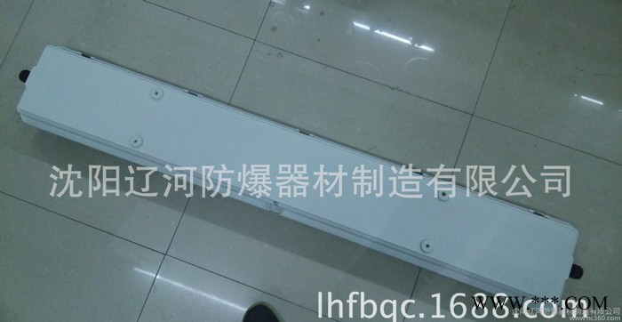 BAY52 防爆灯 防爆防腐灯 高效节能灯 全塑荧光灯 南京 辽河防爆图2