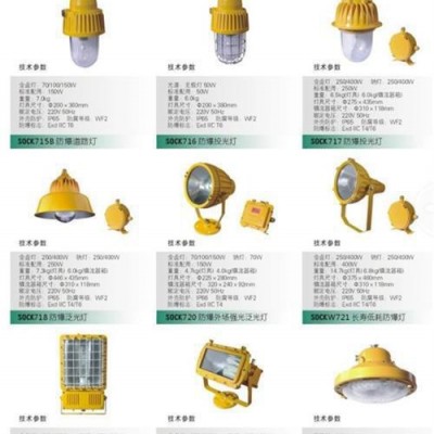 盛欧电气SOCK维护节能灯,盛欧电气SOCK,盛欧测控
