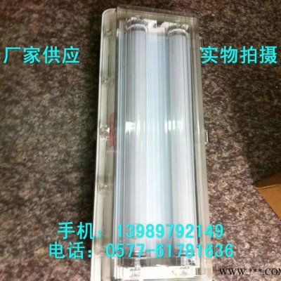 防爆防腐全塑荧光灯 BYS-2x36W双管荧光灯 双脚吸顶式