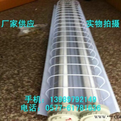 防爆荧光灯 BPY-2*20x吸顶式防爆日光灯