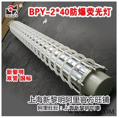 新黎明防爆BPY-2～40W 防爆荧光灯 国标