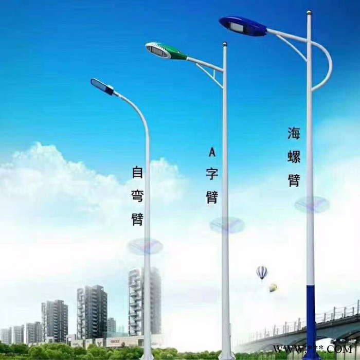 普仕亮30w40w50w60w80w100wLED路灯 7米8米10米太阳能路灯  中高杆路灯景观灯 庭院灯厂家供应图3