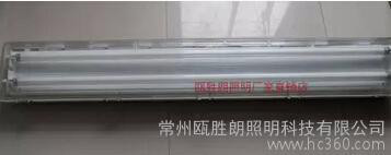 AYS防爆防腐全塑荧光灯 全塑防爆日光灯 华荣GFD6010防水防尘灯图3