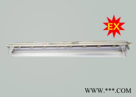 新黎明 上海新黎明BYS防爆防腐应急全塑荧光灯