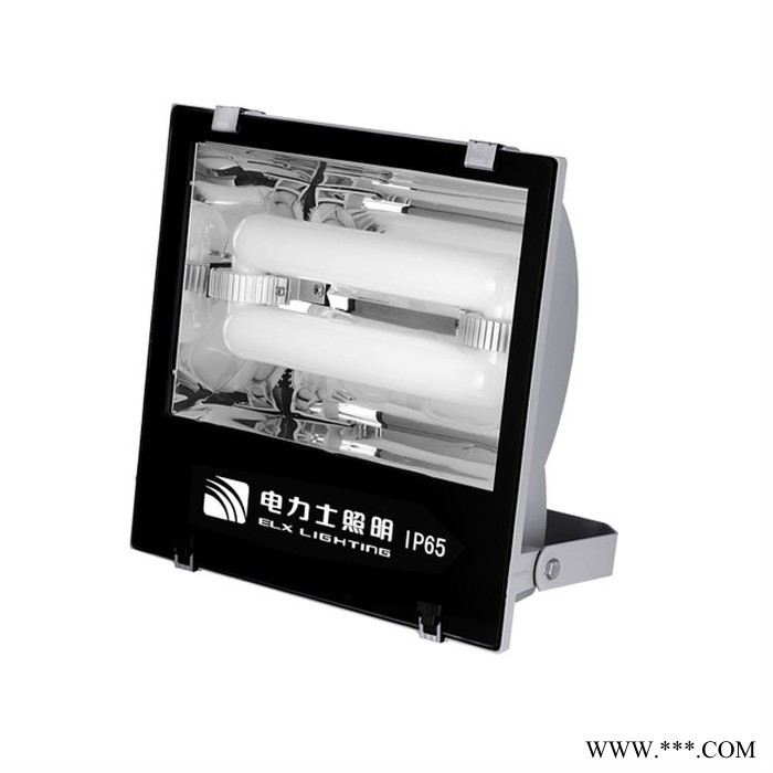 供应新型 无极灯 照明灯具 泛光灯 无极灯销售厂家 景观灯 户外景观照明 无频闪 低热量 散热好 防雷设计TGS019图3
