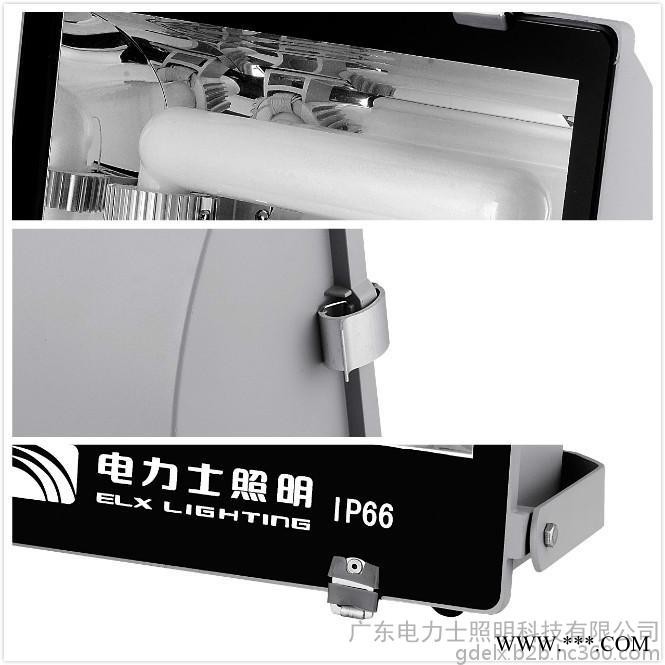 供应新型 无极灯 照明灯具 泛光灯 无极灯销售厂家 景观灯 户外景观照明 无频闪 低热量 散热好 防雷设计TGS019图2