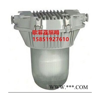 NFC9180/NX长寿防眩顶灯，防水防尘防腐无极荧光灯厂家批发
