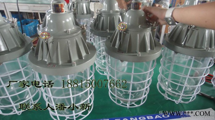 65W紧凑型防爆节能灯，85W防爆节能灯厂家，250W加长防爆灯