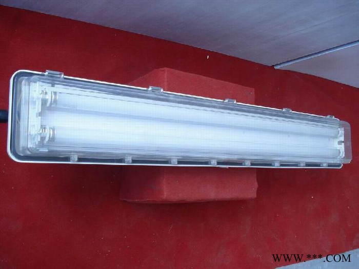 防爆灯具 BYS防爆全塑荧光灯