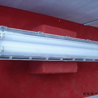 防爆灯具 BYS防爆全塑荧光灯