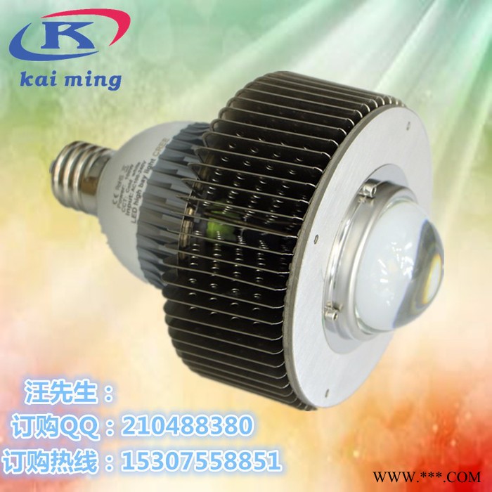 东北工矿灯 工矿灯价格 工矿灯厂家图5