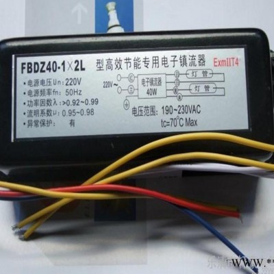 供应FBDZ40-1-2L 1托2 40W防爆单脚荧光灯电子镇流器