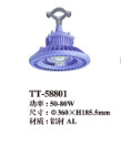 杰炜灯饰TT-58802 工矿灯图6