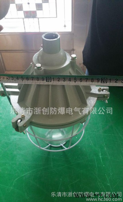BAD隔爆型防爆灯250W大BCD防爆灯65W节能灯图2