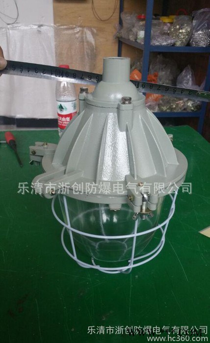 BAD隔爆型防爆灯250W大BCD防爆灯65W节能灯图3