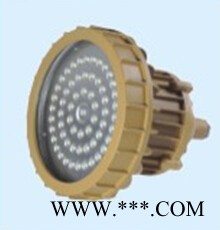 免维护LED防水防尘防腐节能灯BRE8628_免维护LED防图2