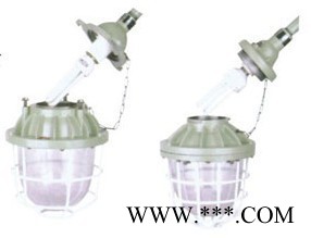 防爆灯具-飞策BCD-H系列防爆节能灯（IIB IIC）防爆灯 防爆灯