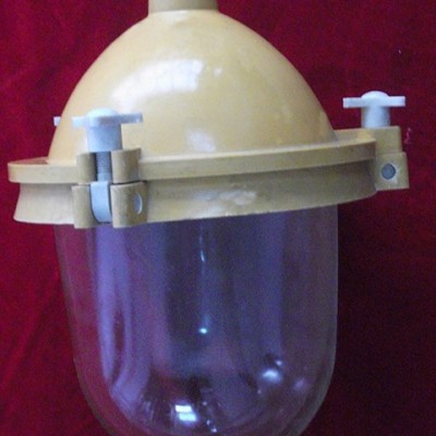 防爆灯具类-FCD系列防水防尘工矿灯