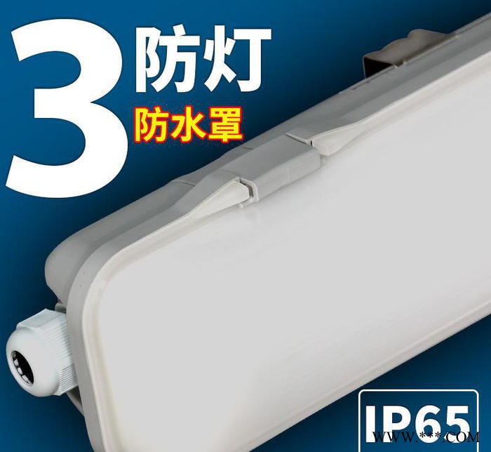 三防灯 双支三防灯 1.2米双支三防灯 LED荧光灯1.2米图1
