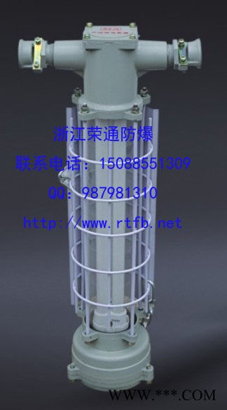 乐清厂家直供防爆荧光灯DGS24/127Y 巷道灯图3