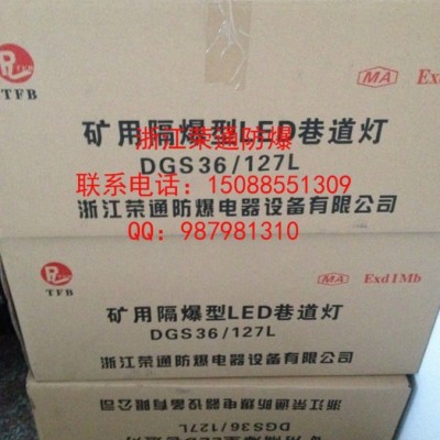乐清厂家直供防爆荧光灯DGS24/127Y 巷道灯