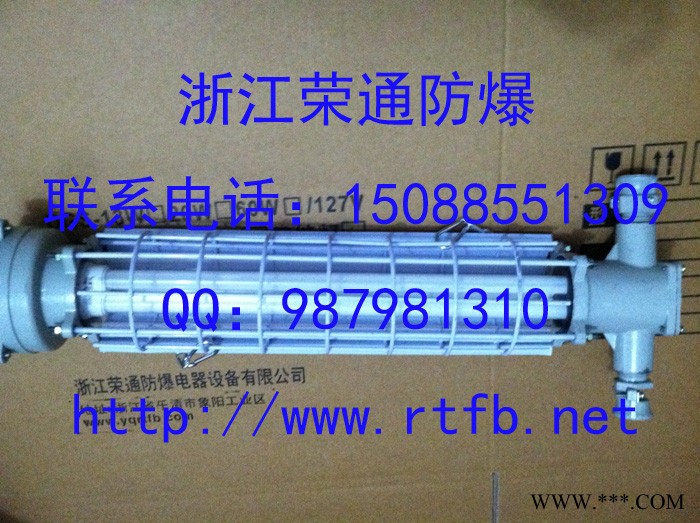 乐清厂家直供防爆荧光灯DGS24/127Y 巷道灯图2