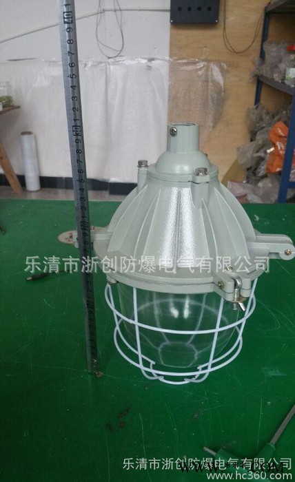 BAD隔爆型防爆灯200W小BCD防爆灯40W节能灯图3