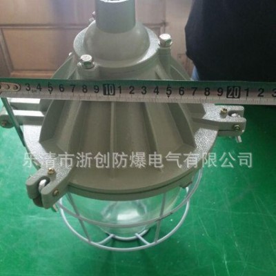 BAD隔爆型防爆灯200W小BCD防爆灯40W节能灯