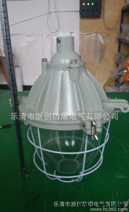 BAD隔爆型防爆灯200W小BCD防爆灯40W节能灯图2