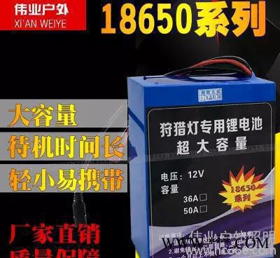 专业生产**户外照明灯 大容量蓄电池便携锂电池氙气灯专用图2