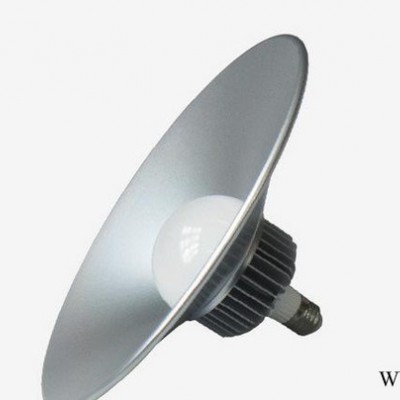 50W工矿灯 LED工矿灯 50W天棚灯  集成工矿灯 济宁